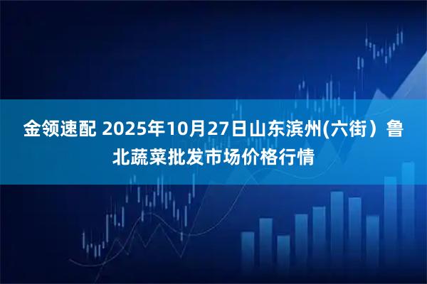 金领速配 2025年10月27日山东滨州(六街）鲁北蔬菜批发市场价格行情