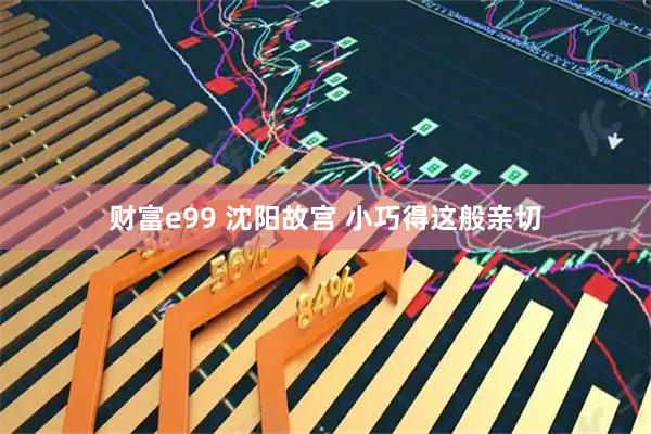 财富e99 沈阳故宫 小巧得这般亲切