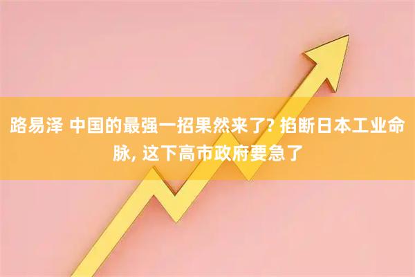 路易泽 中国的最强一招果然来了? 掐断日本工业命脉, 这下高市政府要急了