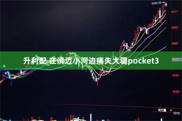 升利配 在清迈小河边痛失大疆pocket3